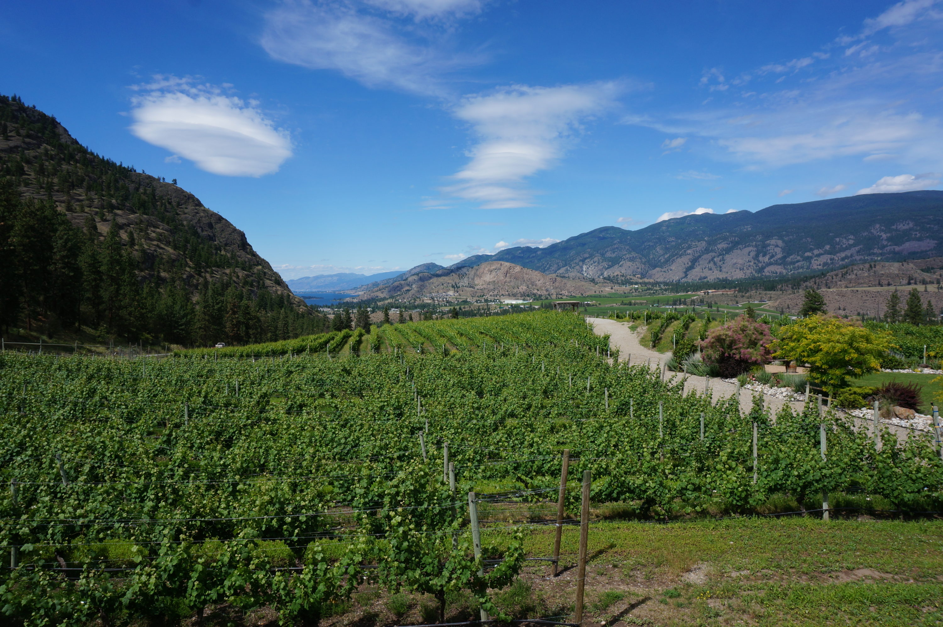 (5) Okanagan Valley – Die Kanadische Toskana – Teilzeittravels